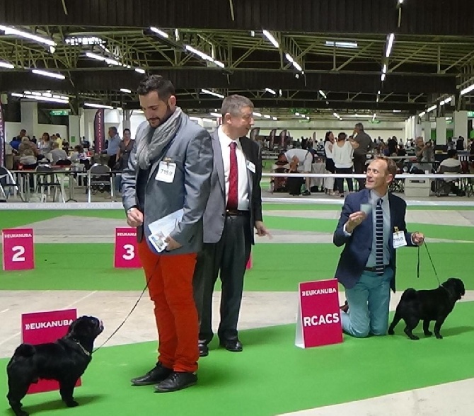 Des Terres De Nabréüs - Championnat de France Dijon