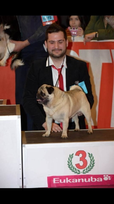 Des Terres De Nabréüs - Salon Internationale de l'Agriculture 2014