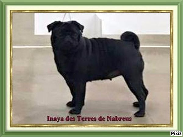 Ixillan tonan dite inaya Des Terres De Nabréüs